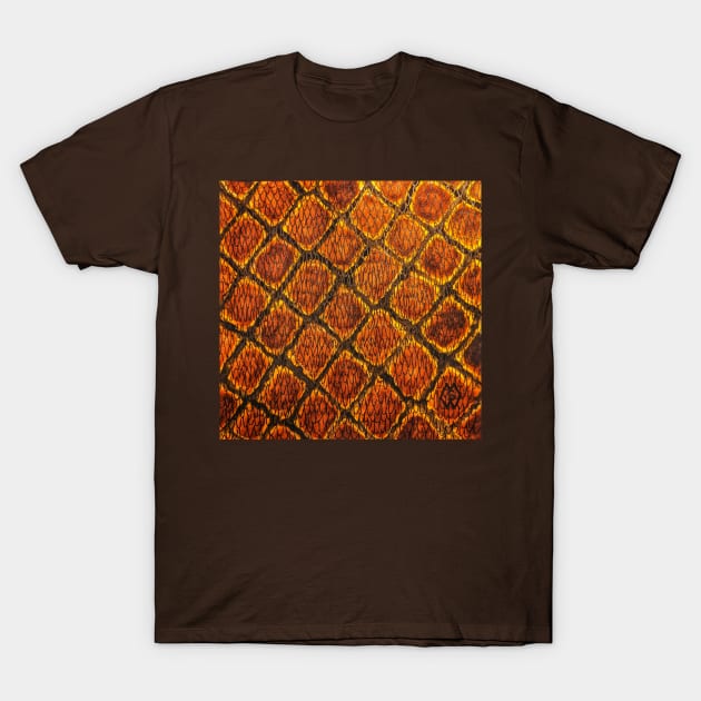 Rattlesnake skin T-Shirt by Matt Starr Fine Art